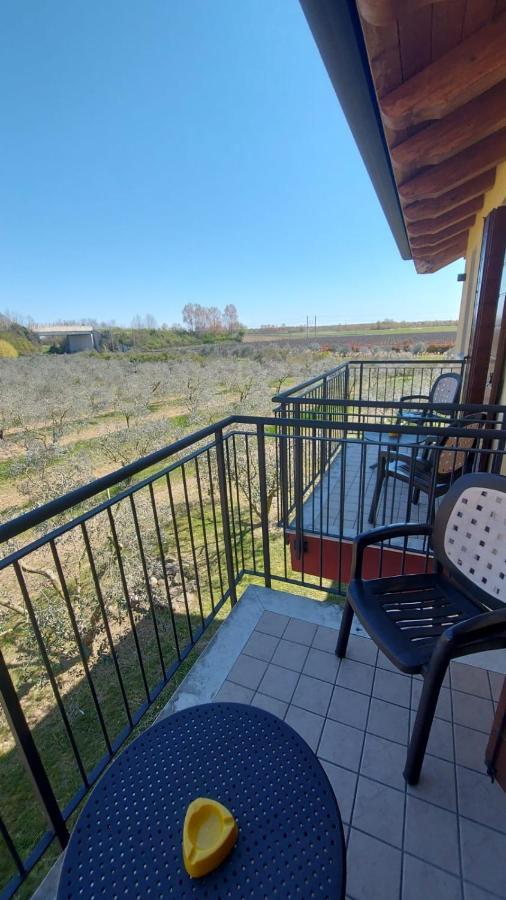 Agriturismo Olistella Palazzolo dello Stella Eksteriør billede